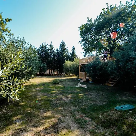 Ferienhaus Lee House, Wi-fi,free Parking, Hot Tube